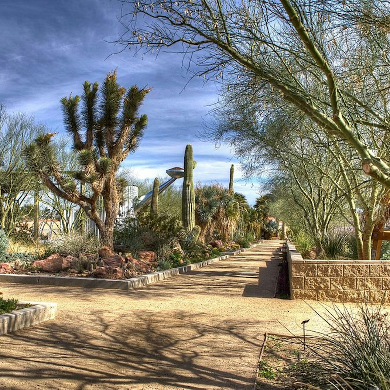 Explore nature’s beauty interwoven with Las Vegas history at Springs Preserve where educational trails and interactive exhibits invite discovery in a serene desert landscape. Perfect for family adventures!
